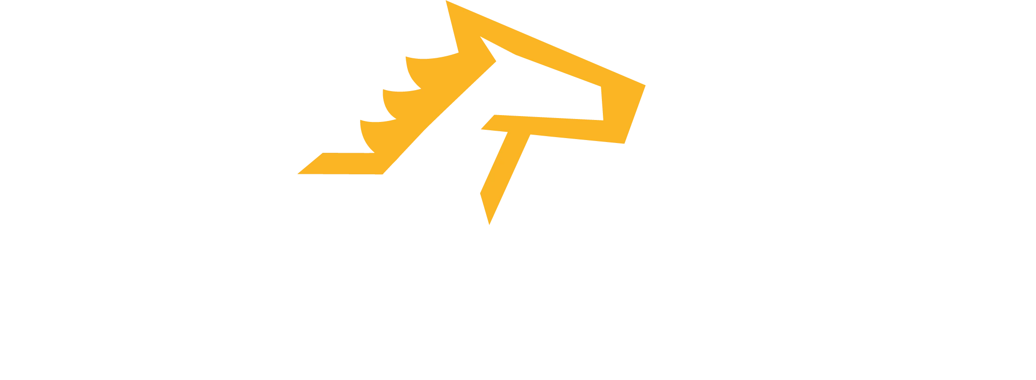 Bravado